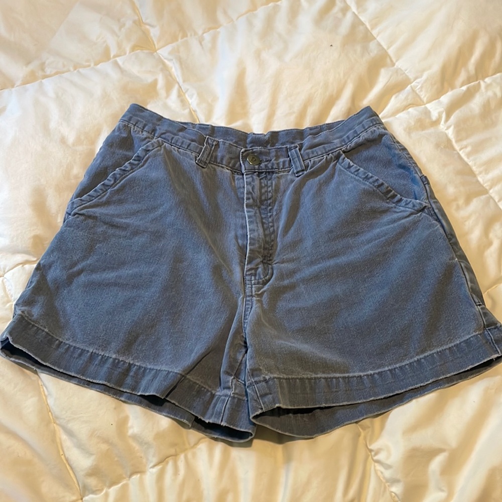 Patagonia Shorts